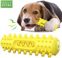 犬の噛むおもちゃ 音が出る 小中大型犬 歯ブラシ オモチャ 口腔ケア 歯垢取り 安心なTPR素材 投げるおもちゃ 遊びながら歯磨き 全方位歯を磨く弾力性