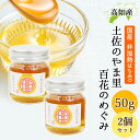 日本ミツバチ 蜂蜜 50g 2本セット 安和 奥四万十産 日本みつばち はちみつ ハチミツ 無添加 非加熱 非加糖 高知産 日本製 国産 高知県 生はちみつ 純...