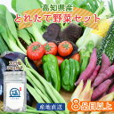 高知野菜セット 土佐の塩丸 詰め合わせ 旬 野菜セット 8品目以上 高知産 産直 産地直送 新鮮 野菜 根菜 葉物 果物 土佐 高知県産 グルメ ギフト お中元...