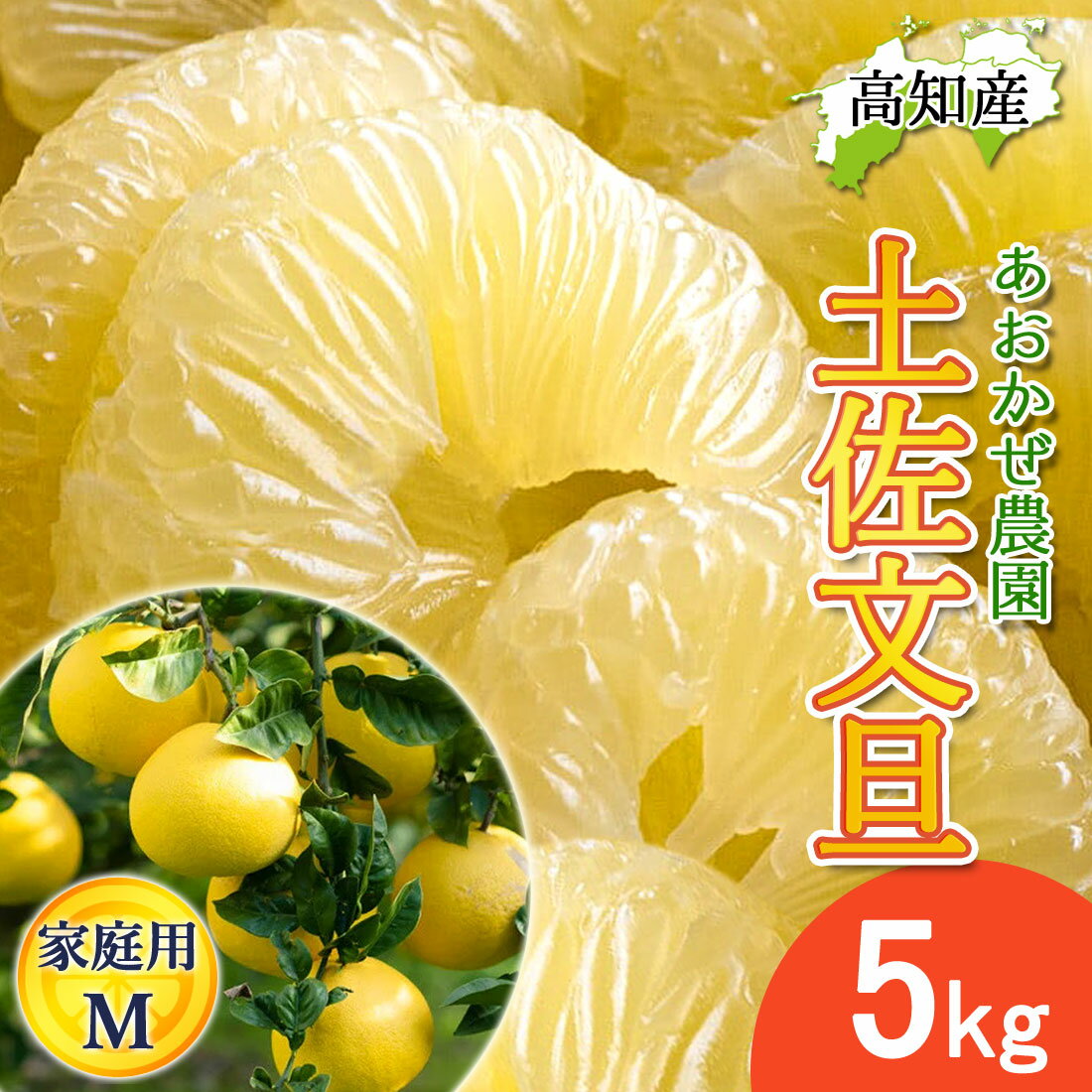 【予約】文旦 土佐文旦 家庭用 小 Mサイズ 14〜16玉 5kg 宿毛文旦 産直 あおかぜ農園 宿毛 ぶんたん 宿毛市 産地直送 高知産 宿毛産 5..