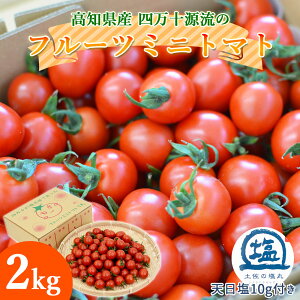 【大野見直送】四万十 フルーツミニトマト 2kg 完熟 朝どれ トマト フルーツトマト 樹上完熟 ミニトマト プチトマト 2キロ 高知産 土佐の塩丸 天日塩付き甘い 濃厚 薄皮 新鮮 産地直送 四万十源流 高知県 大野見 標高300Mの高地で育てました【送料無料】