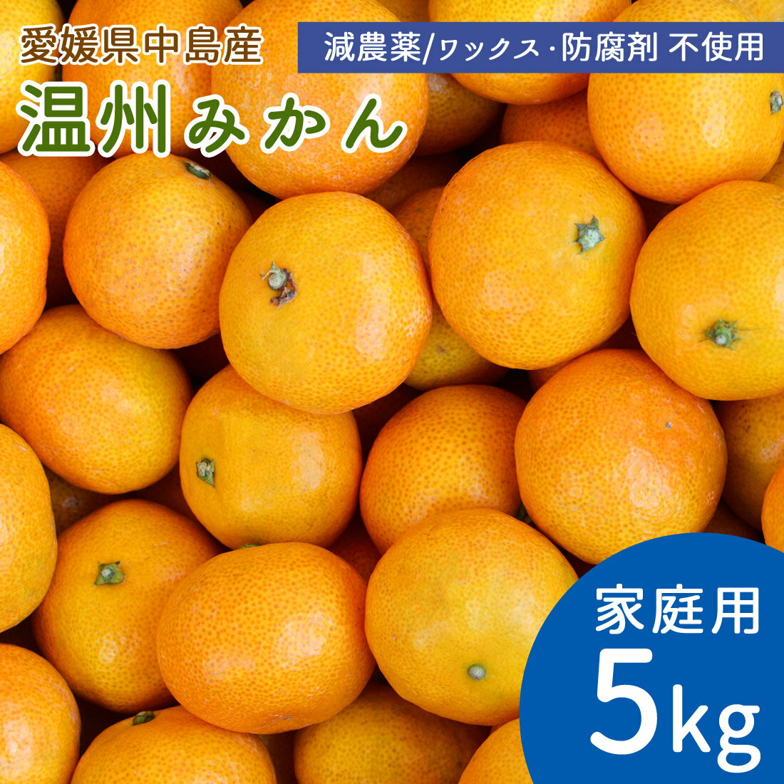 【予約】産地直送 中島産 みかん 甘小粒 5kg 60〜80個 家庭用 小玉 S・2Sサイズ ミカン 温州みかん 5キロ 国産 島みかん 瀬戸内海 離島の島 愛媛県 中島産 希望の島産 産直 減農薬 ノーワックス 防腐剤不使用【送料無料】(4)