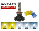 グラシアス/マッセ 好きな5色カラーを選べるカメレオンLEDキット 【H8/H11/H16】