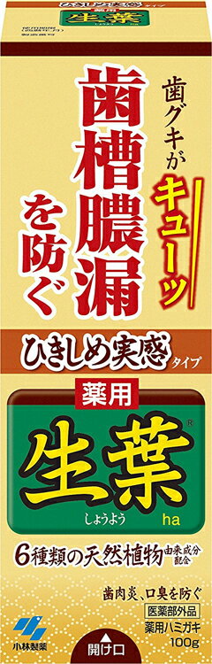 小林製薬 ひきしめ生葉 100g