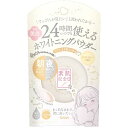 常盤薬品 SANA サナ 素肌記念日 薬用美白 スキンケアパウダー WT 10g