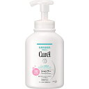 ԉ Curel L AVv[ |v 480ml