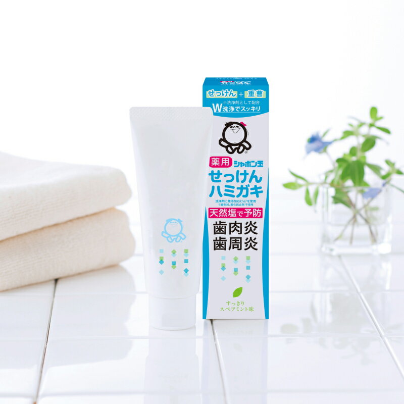シャボン玉薬用せっけんハミガキ 80g（3枚目）