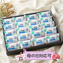  ナチュラルギフト（N-26） 《シャボン玉石けん》 シャボン玉浴用100g 20個 ギフト 母の日 母の日ギフト 母の日シール メッセージカード スキンケア 贈り物 御礼 洗顔 石けん せっけん 石鹸 固形石けん プレゼント 全身洗える 無香料 無着色