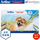 シヤチハタ アートライン 水彩色鉛筆 Artline 36色セット【36色セット】 シャチハタ シヤチハタ公式 ドイツ 色鉛筆 36色 KCP-W36C/H ギ...