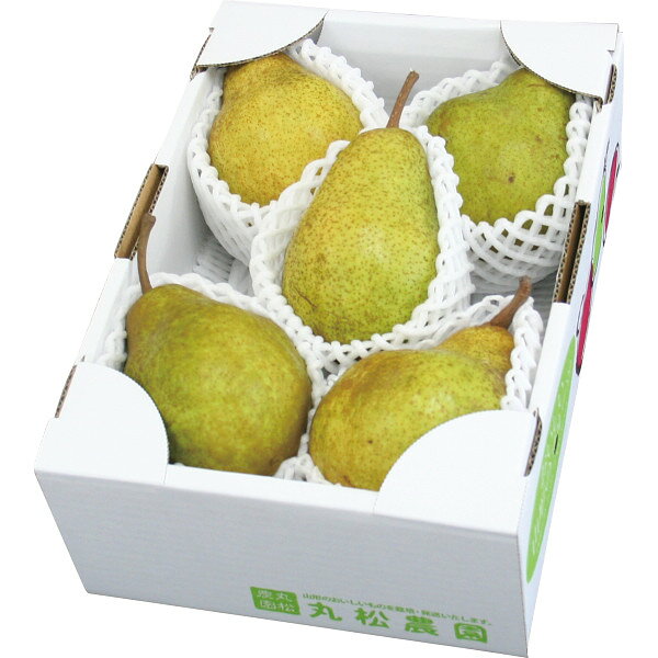 山形県産シルバーベル(2kg)