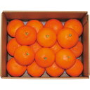 国産清見オレンジ(3kg)