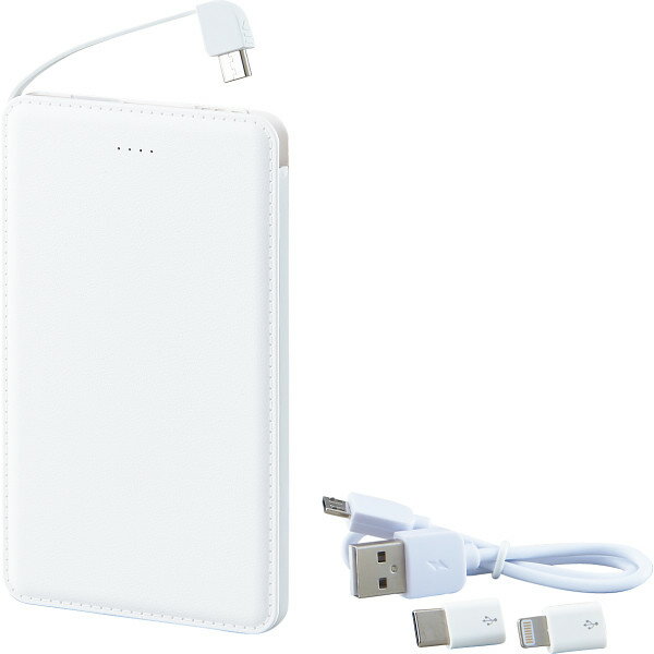 ��Х���Хåƥ꡼ 6189-23