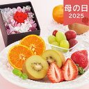 母の日 2025 果実のキモチ フルーツ宝石箱 フルーツ 果物 セット 詰め合わせ 盛り合わせ きれい ありがとう 感謝 お母さん お義母さん ママ 奥さん 妻...