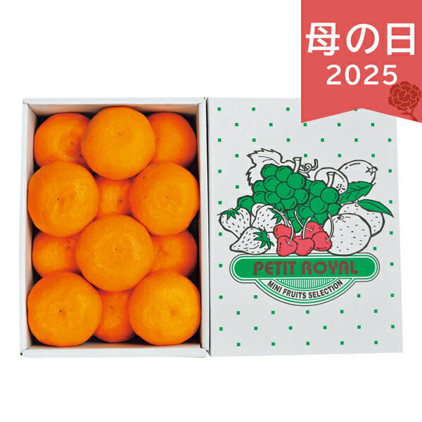 母の日 2025 カラマンダリン 1kg フルーツ 果物 みかん