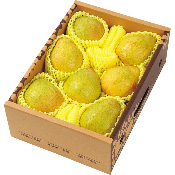 お歳暮 2025 山形県産 ラネージュ 2kg フルーツ 果物 洋梨 冬 冬ギフト 歳暮 ギフト 贈り物 寒中見舞い