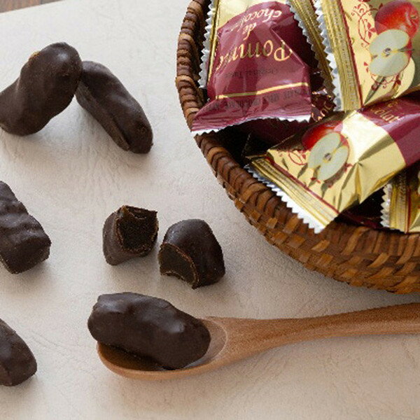 お歳暮 2025 りんごチョコレート 5870023 チョコレート フルーツチョコレート 冬 冬ギフト 歳暮 ギフト..