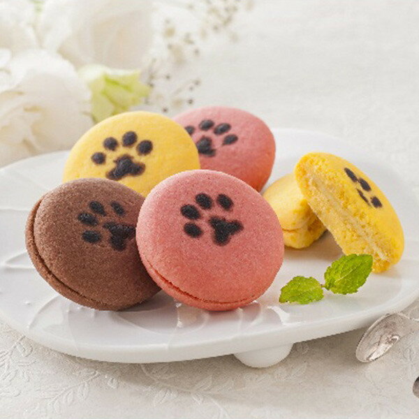 お歳暮 2025 イーペルの猫祭りサンドクッキー クッキー 焼き菓子 クッキー 冬 冬ギフト 歳暮 ギフト 贈り物 寒中見舞い