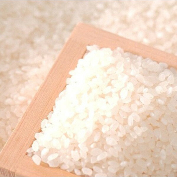 お歳暮 2025 新潟魚沼産