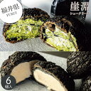 【福井】崖淵シュークリーム 生カスタード・濃い抹茶6個セット 洋菓子 ザクっ クリーム 詰め合わせ 特産品 お取り寄せ 地元 スイーツ 美味しい お菓子 おやつ 個包装 小分け 焼き菓子 人気 ギフト 内祝い お返し お礼 挨拶 手土産 お配り 夏ギフト 夏スイーツ お中元