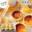 【北海道】みれい菓 バスクチーズケーキギフト 9個入 8029 チーズ 焼き菓子 ケーキ 焼き菓子 詰め合わせ 特産品 お取り寄せ 個包装 小分け 冷凍 スイーツ お菓子 食べきりサイズ 内祝い お返し お礼 挨拶 手土産 お配り お持たせ 夏 夏ギフト 夏スイーツ お中元