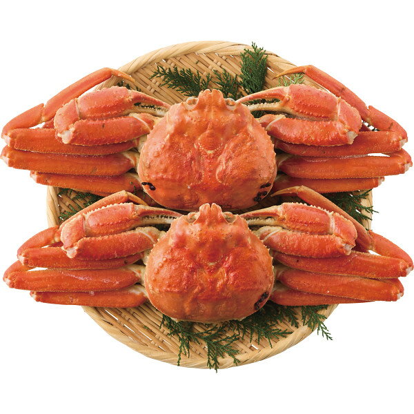 ボイルずわいがに姿 2杯 計900g お返し 内祝い 出産 結婚 挨拶 手土産 退職 祝い プレゼント 引越し 新築 御挨拶 粗品 快気祝い お見舞い返し 全快祝い 御礼 お礼