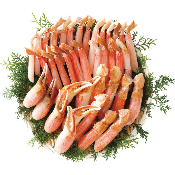 生ずわいがにポーションセット 計1kg お返し 内祝い 出産 結婚 挨拶 手土産 退職 祝い プレゼント 引越し 新築 御挨拶 粗品 快気祝い お見舞い返し 全快祝い 御礼 お礼