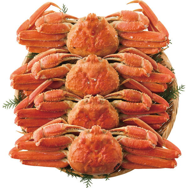 ボイルずわいがに姿4尾 計1.9kg お返し 内祝い 出産 結婚 挨拶 手土産 退職 祝い プレゼント 引越し 新築 御挨拶 粗品 快気祝い お見舞い返し 全快祝い 御礼 お礼