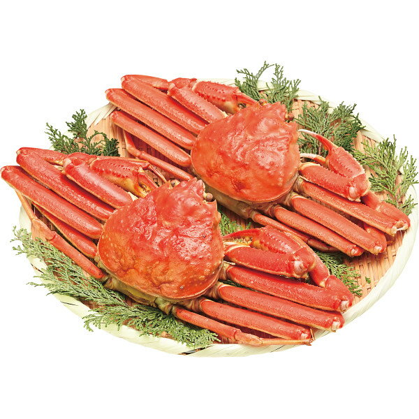 ゆでずわいがに 2杯セット お返し 内祝い 出産 結婚 挨拶 手土産 退職 祝い プレゼント 引越し 新築 御挨拶 粗品 快気祝い お見舞い返し 全快祝い 御礼 お礼