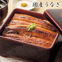 生産者限定 山道養鰻のうなぎ蒲焼 長焼 2尾 鰻 うなぎ 山椒 たれ セット 詰め合わせ 国産ウナギ 国産 蒲焼き うなぎの蒲焼 小分け おすすめ 贈答用 冷凍...