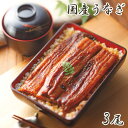 生産者限定 山道養鰻のうなぎ蒲焼 長焼 3尾 鰻 うなぎ 山椒 たれ セット 詰め合わせ 国産ウナギ 国産 蒲焼き うなぎの蒲焼 おすすめ 贈答用 冷凍 土用の...