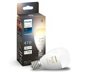 PHILIPS Philips Hue ホワイトグラデーション E17 PLH47GS