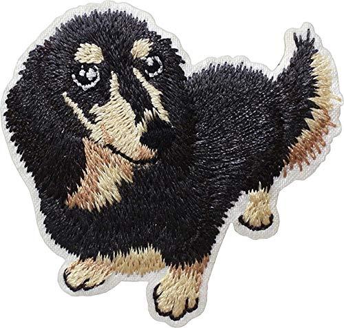 B2181027 ˥ޥե ƥååڥ åե