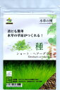 水草の種 ショートヘアーグラスsp. 5g 60cm水槽約1本分 君にも簡単水草の草原がつくれる
