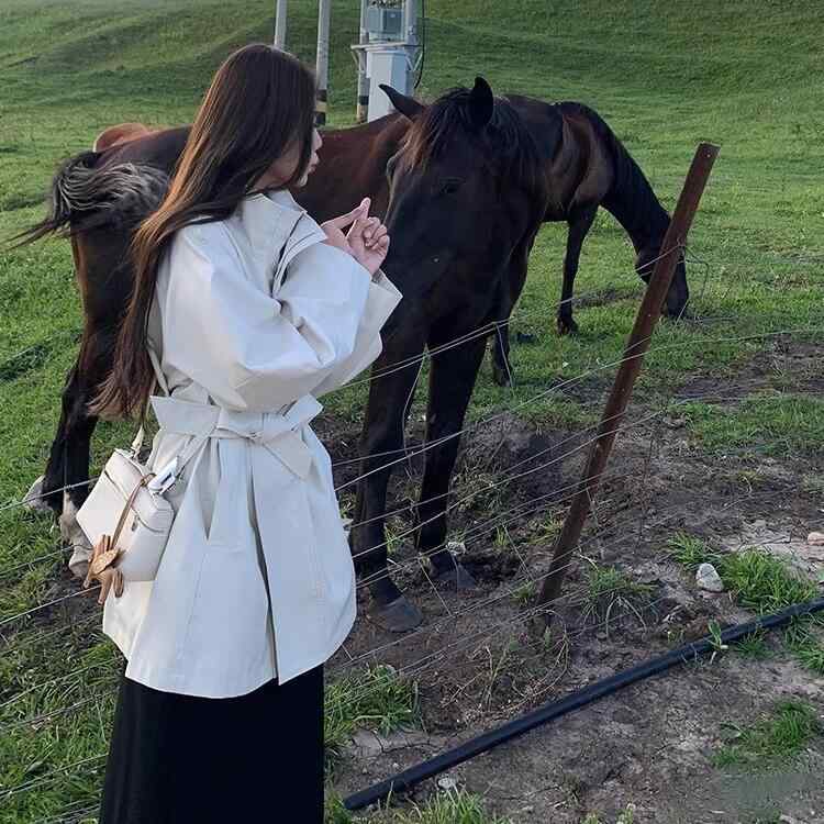 �ȥ��������� ��ǥ����� �ս� �ڹ��� ��ä��ꥵ���� �������륢�å� A�饤�� ��������