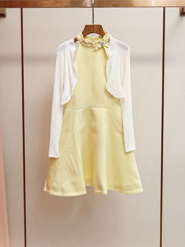 ワンピース レディース 韓国風 清楚 淡色 カーディガン セットアップ 膝丈ワンピース 釘珠飾り 長袖 蝶..