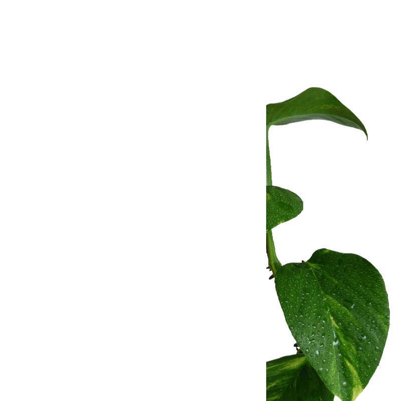 �����ƥ� ���� �Ἴ�� �ɥ��� �ɿ� ���������ƥ� ���å� �Х������ƥ� �ֻ��ڤ� �Τ�� �Ἴ �� �ܱ��� �ı� ���� ���ޥ���å� ƣ̢ ���� ���� ��...