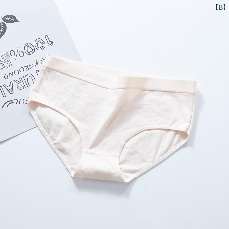 シャドーテールのショーツ レディース 下着 パンツ インナー ランジェリー 三角パンツ プレーンショーツ ローライズ コットン 100% 綿 伸縮性 通気性 フィット感 履き心地 快適 無地 シンプル デイリーユース 普段使い デイリー｜アングル2
