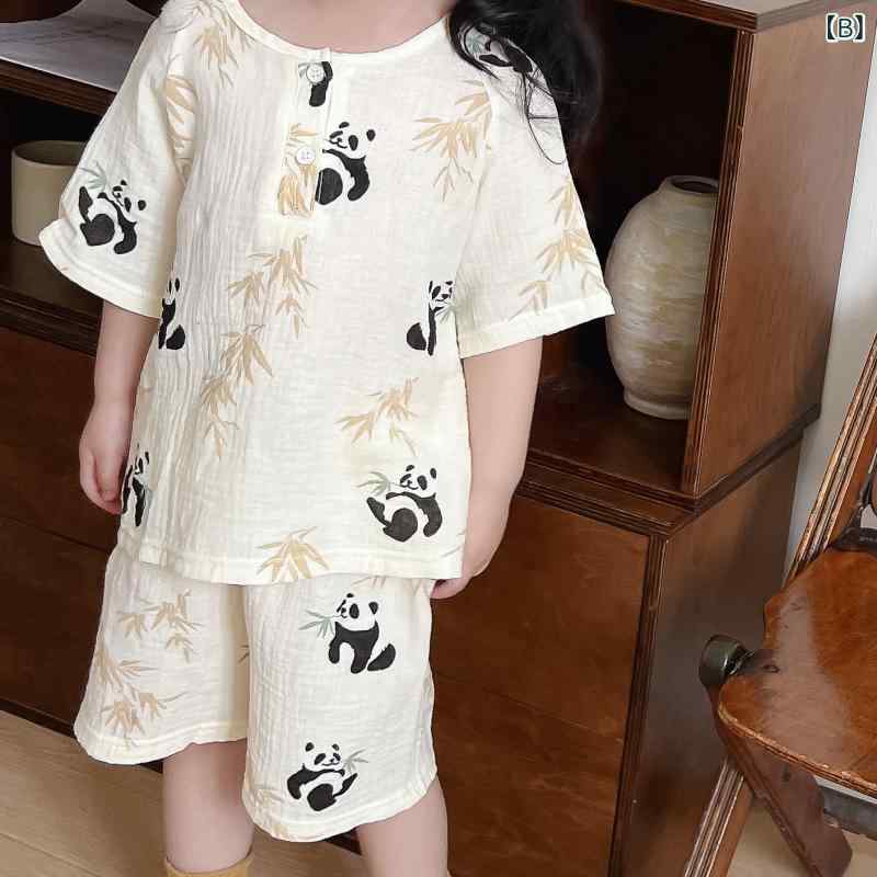 �Ҷ��ѥѥ���� �岼���å� Ⱦµ û�ѥ� ������ ��100% ���� ���襤�� ���� ���� ��ǭ ���� �������� �ڹ��� �� 8�аʾ�