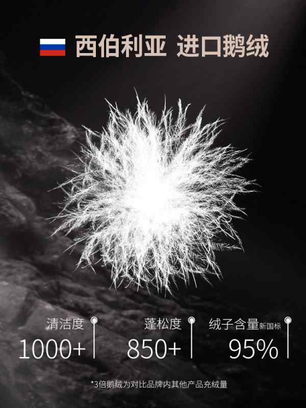 Rakuten - ダウンジャケット メンズ 男性用 防寒 防水 防風 撥水 透湿 立襟 フード付き 黒 ブラック 無地 冬 アウトドア
