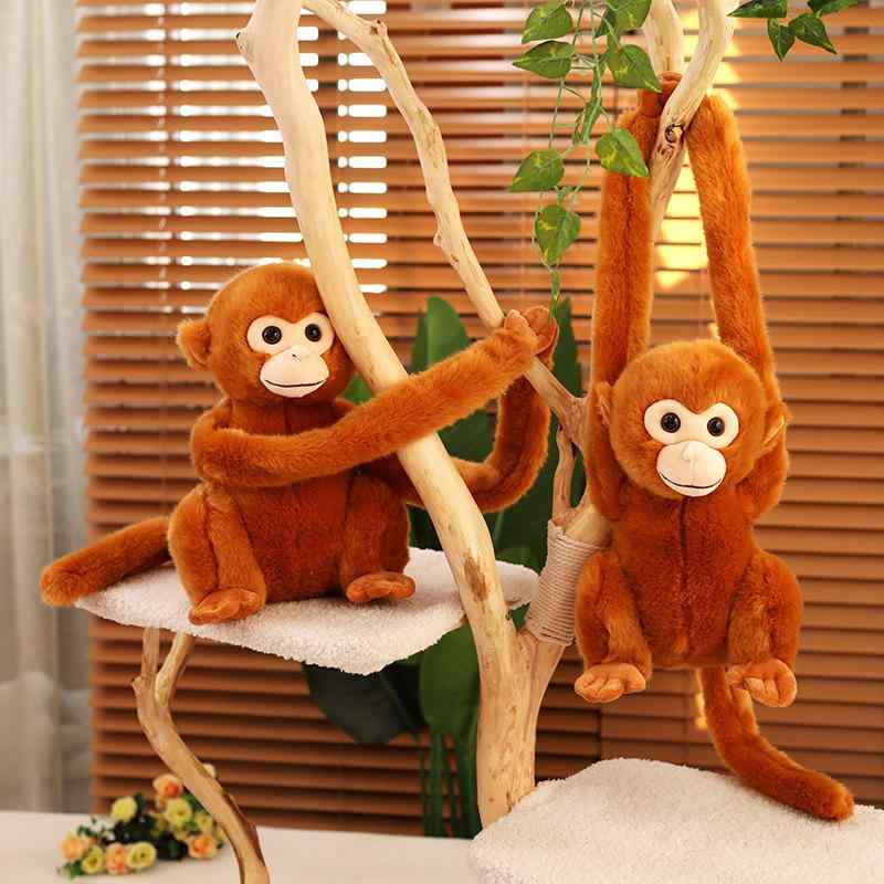China Ornaments - ぬいぐるみ 動物園 金糸猴 サル 猿 人形 ドール ホーム デコレーション 壁掛け 子供 キッズ 23cm 28cm