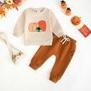 ベビー キッズ スウェット 上下セット 長袖 長ズボン 綿 秋冬 男の子 乳幼児 幼児 無地 カトゥーン 杏色