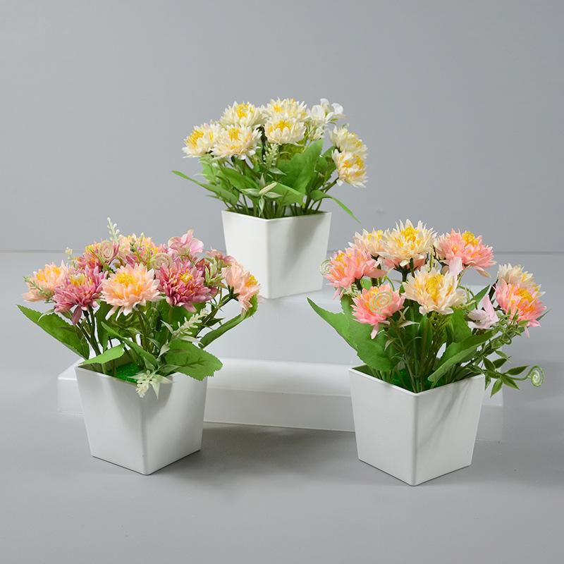 盆栽 韓国風 龍爪菊 盆景 卓上 インテリア 飾り オフィス リビング 茶の間 フェイクグリーン