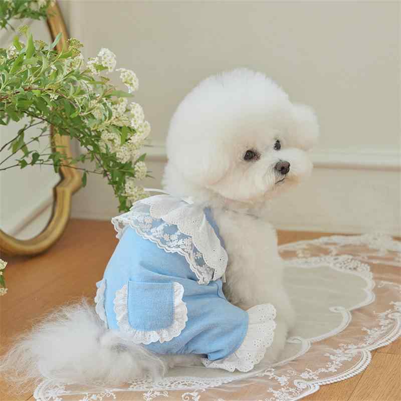 犬服 ワンピース 小型犬 中型犬 春秋冬 かわいい ペット服 ドッグウェア スカート 天藍色 カーキ色