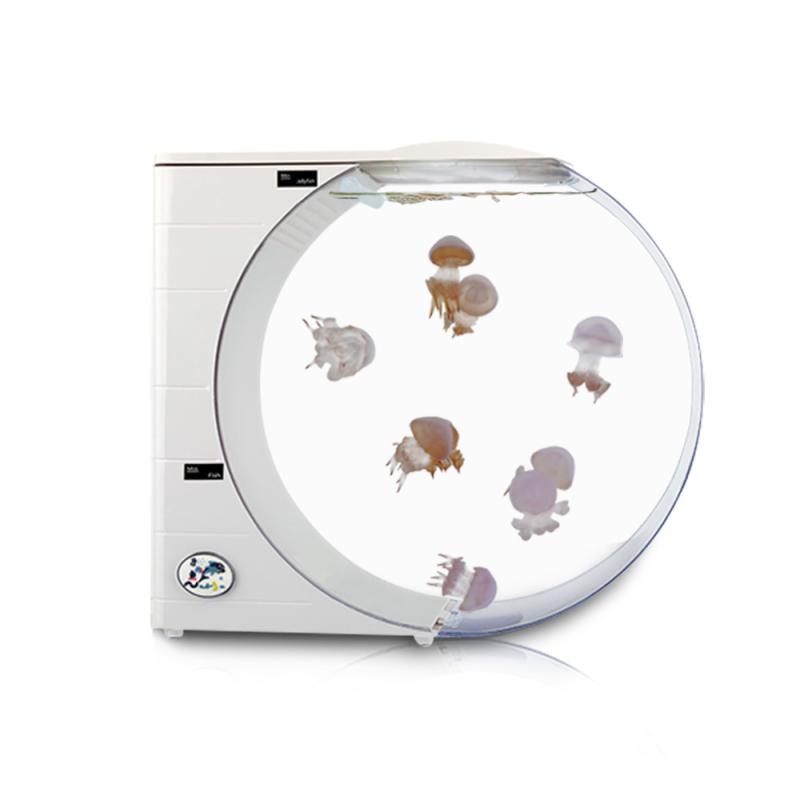 水槽 アクアリウム 卓上 小型 エコ 10L プラスチック製 白色