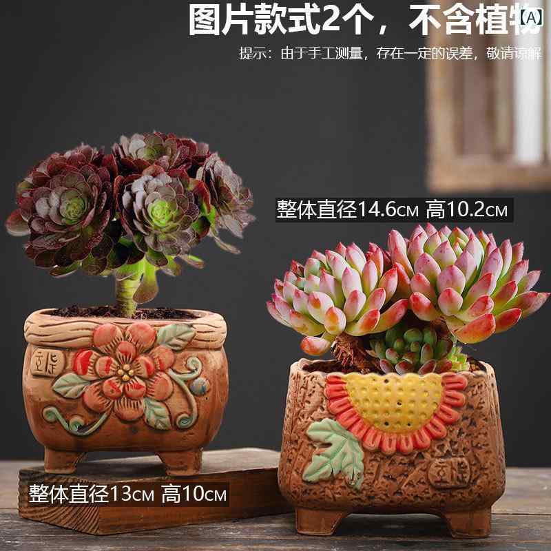 植木鉢陶器鉢テラコッタ多肉植物サボ...