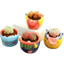 植木鉢 韓国風 かわいい 漫画 アニマル カニ リンゴの木 粗陶 手描き 陶器鉢 多肉植物 寄せ植え 卓上 観葉植物 ミニ おしゃれ ガーデニング 家庭菜園(x...