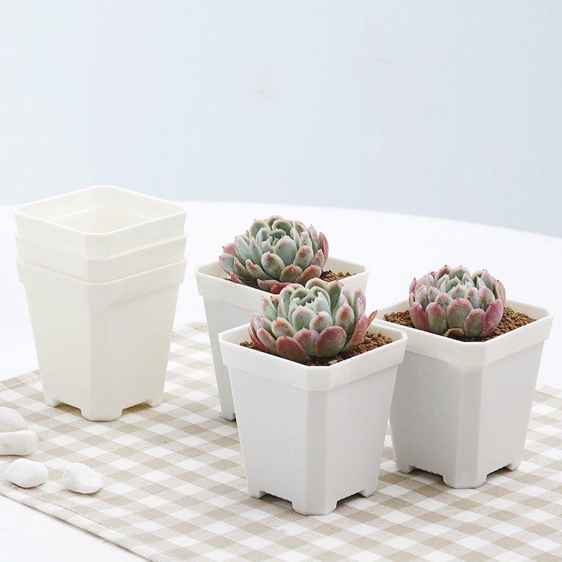 ����ȭ ��ǥ����� ¿����ʪ ���ܥƥ� �󤻿��� �ץ饹���å�ȭ �� �� �������� 7�� 10�� ������ ���꥿���� ��� �����ڱ�