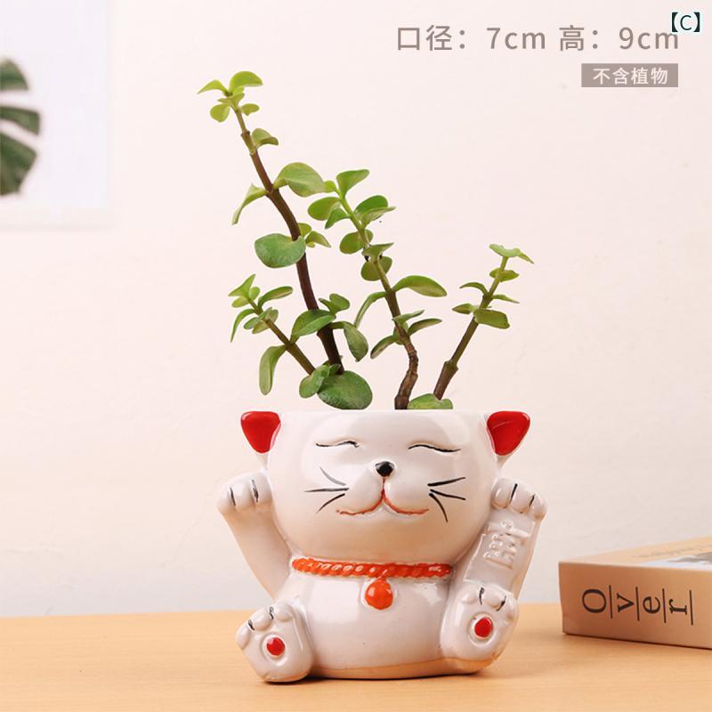 花瓶 多肉植物 鉢植え かわいい 猫 動物 陶器製 ハンドメイド オフィス ホテル 家庭 園芸 観葉植物