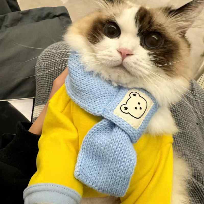 ペット用 服 春秋冬 小型犬 かわいい パーカー マフラー付き 厚手 防寒 暖かい 猫 超小型犬 ポリエステ..