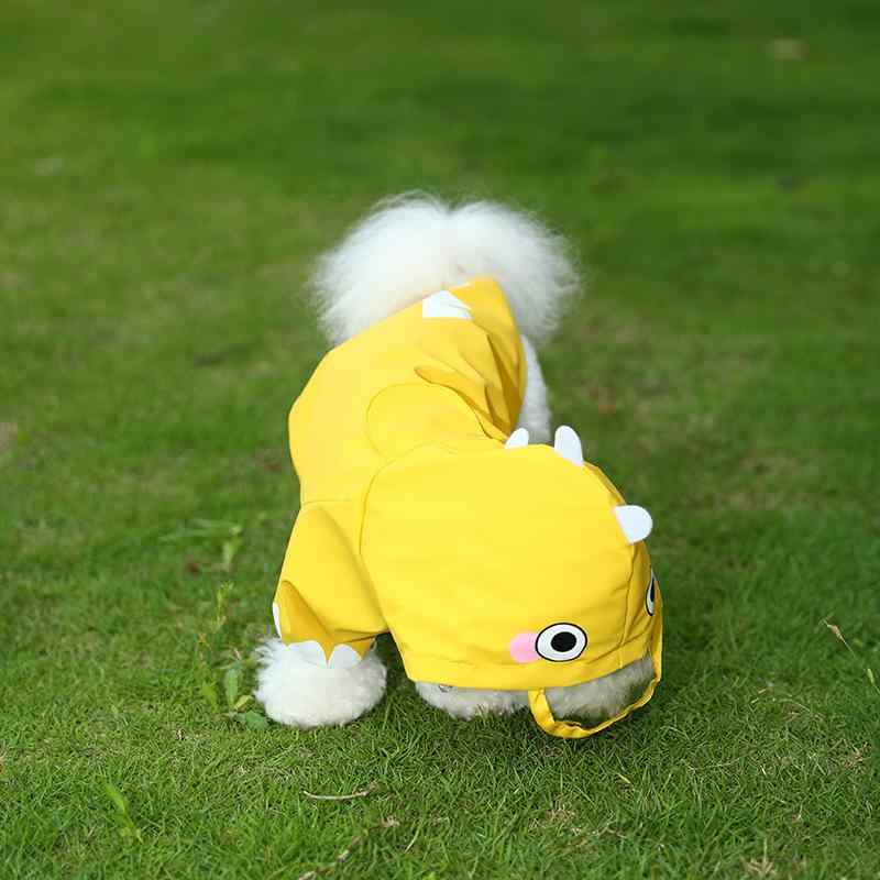 ���ѥ쥤�󥳡��� ������ �淿�� �緿�� �ɿ� ���å� �ա����դ� �ڥå��� ���� ���襤�� ������� �������� ���꡼�� ��å�